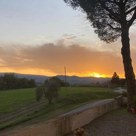 Tognazzi Casa Vacanze - La Collina Di San Gimignano Eksteriør billede