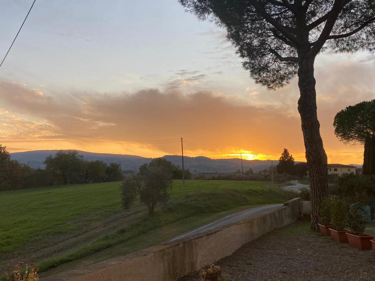 Tognazzi Casa Vacanze - La Collina Di San Gimignano Eksteriør billede